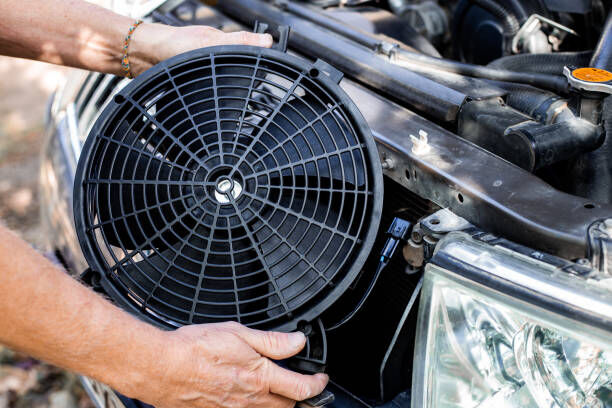 Image of an electric cooling fan assembly.
